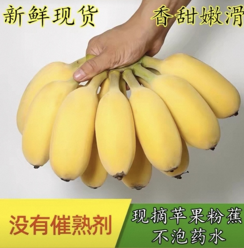 苹果蕉粉蕉
