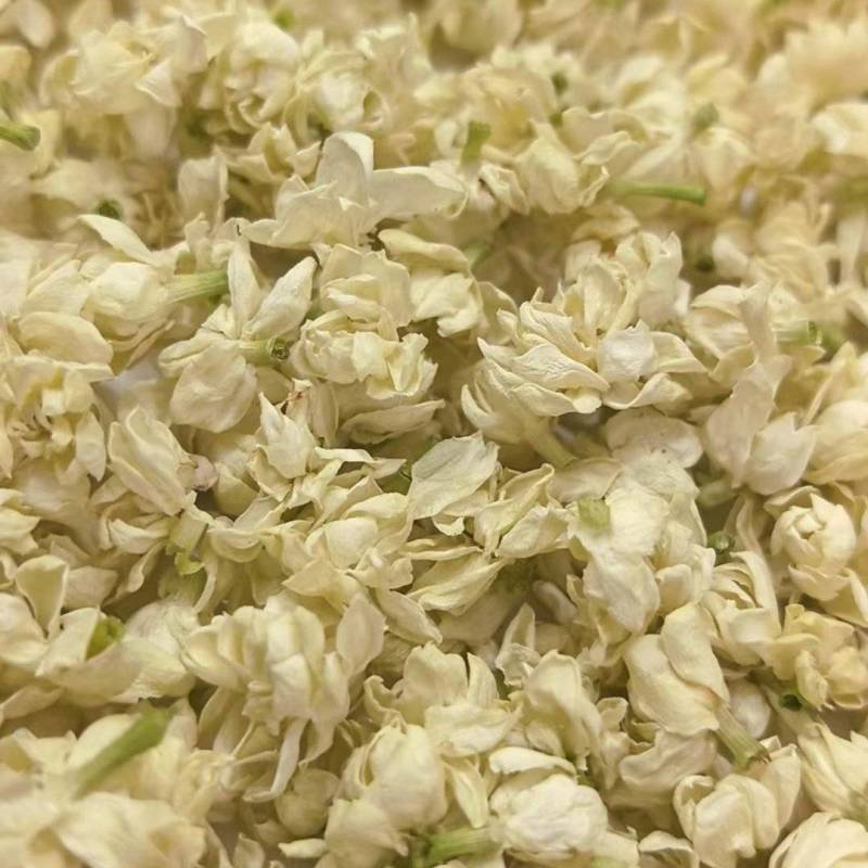 茉莉花雪球