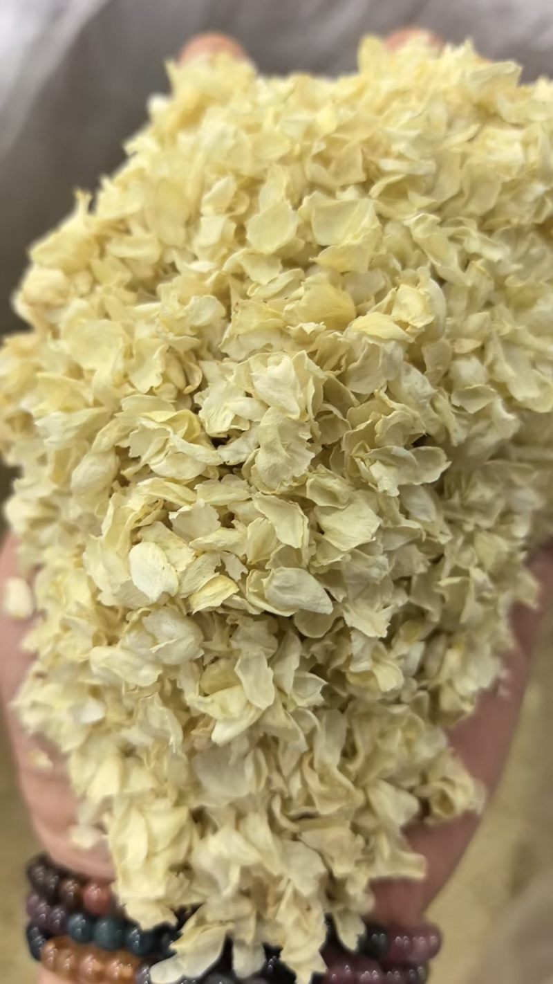 茉莉花雪球