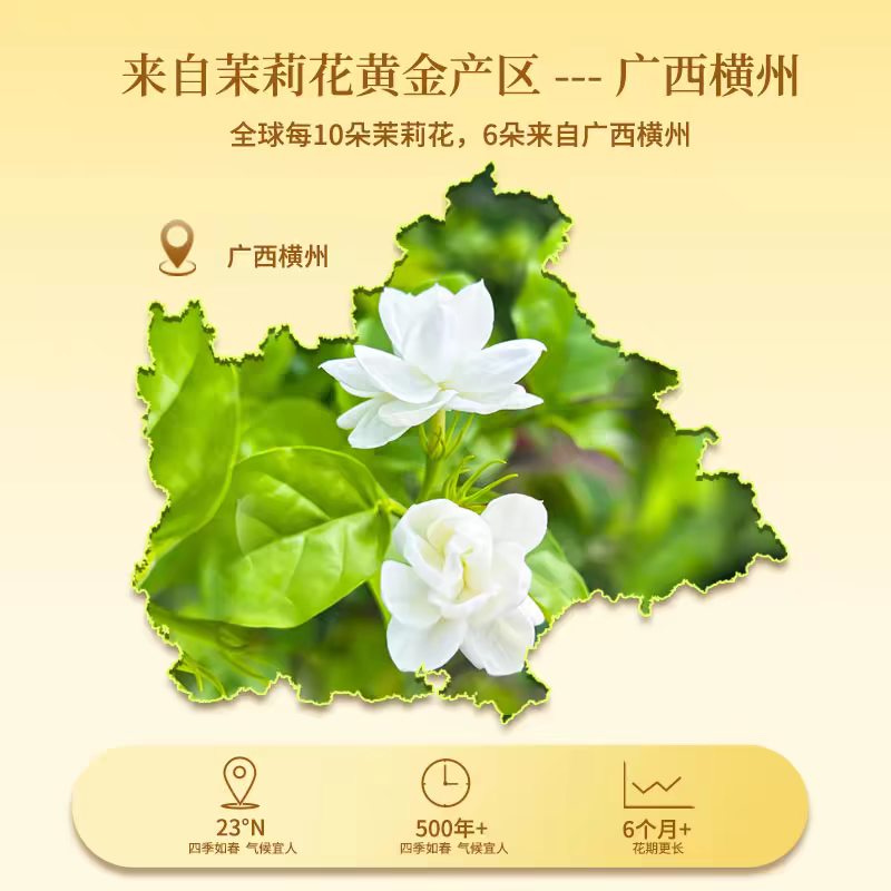 茉莉花雪球