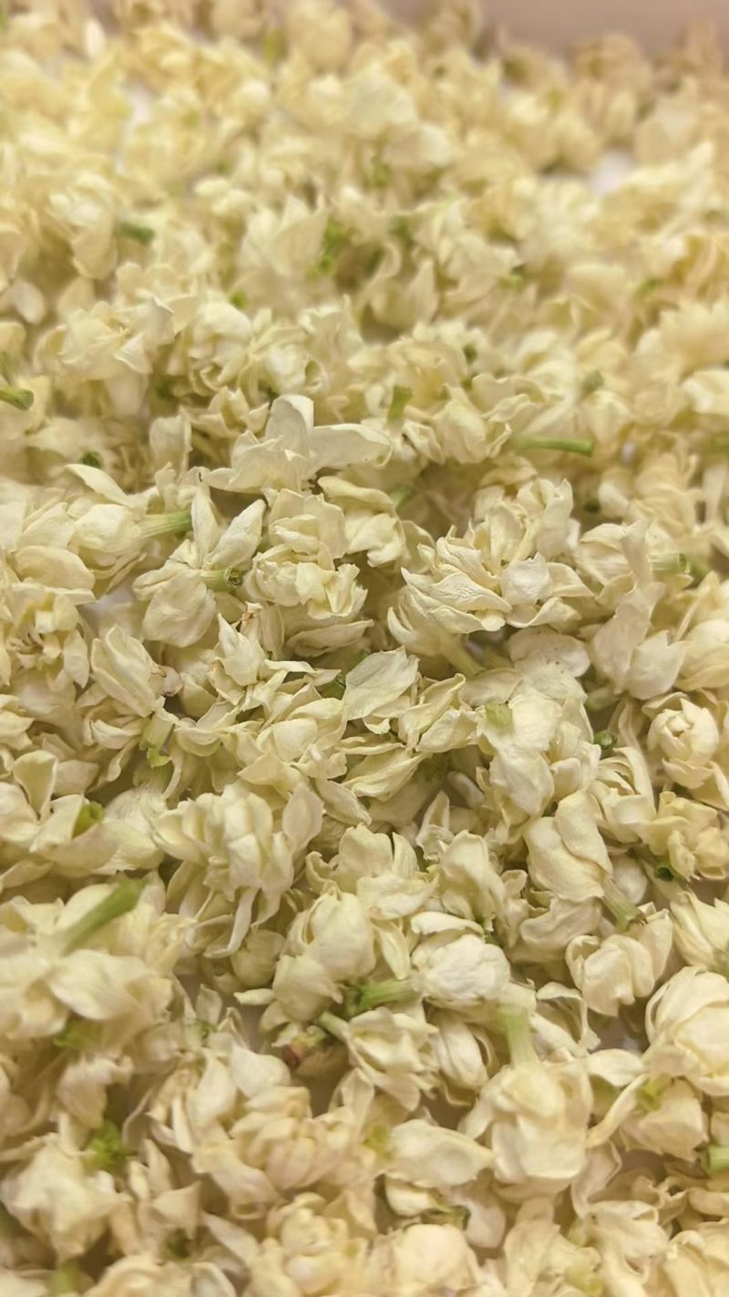 茉莉花雪球