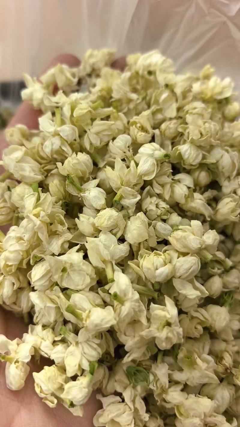 茉莉花雪球