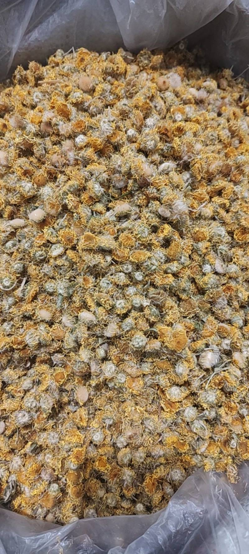 一手货源旋覆花，药厂货，饮片货