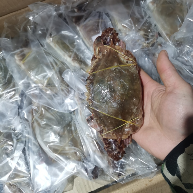冻梭子蟹舟山大公蟹大白蟹全规格现货