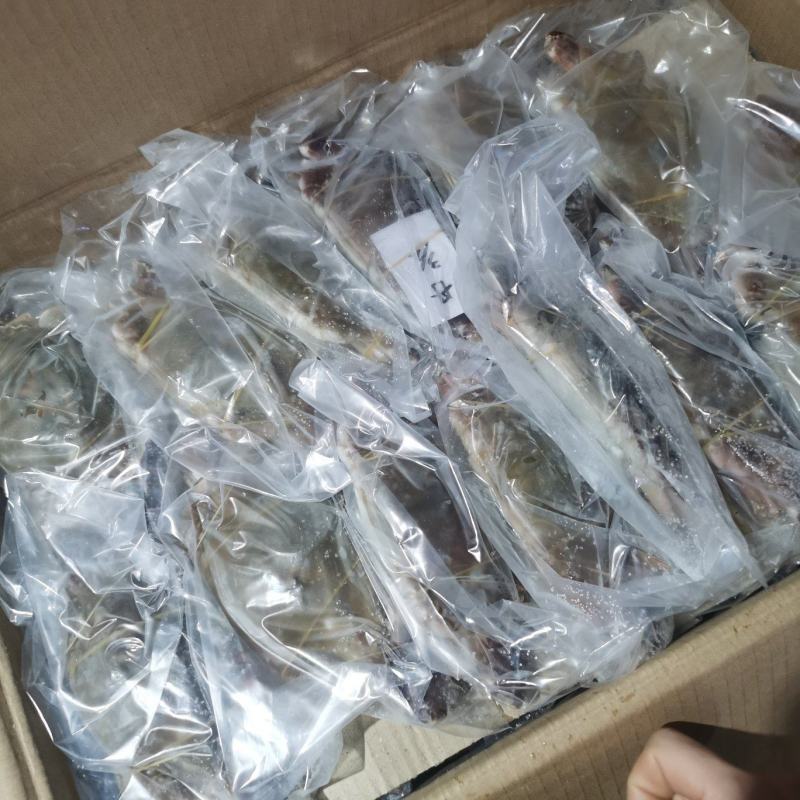 冻梭子蟹舟山大公蟹大白蟹全规格现货