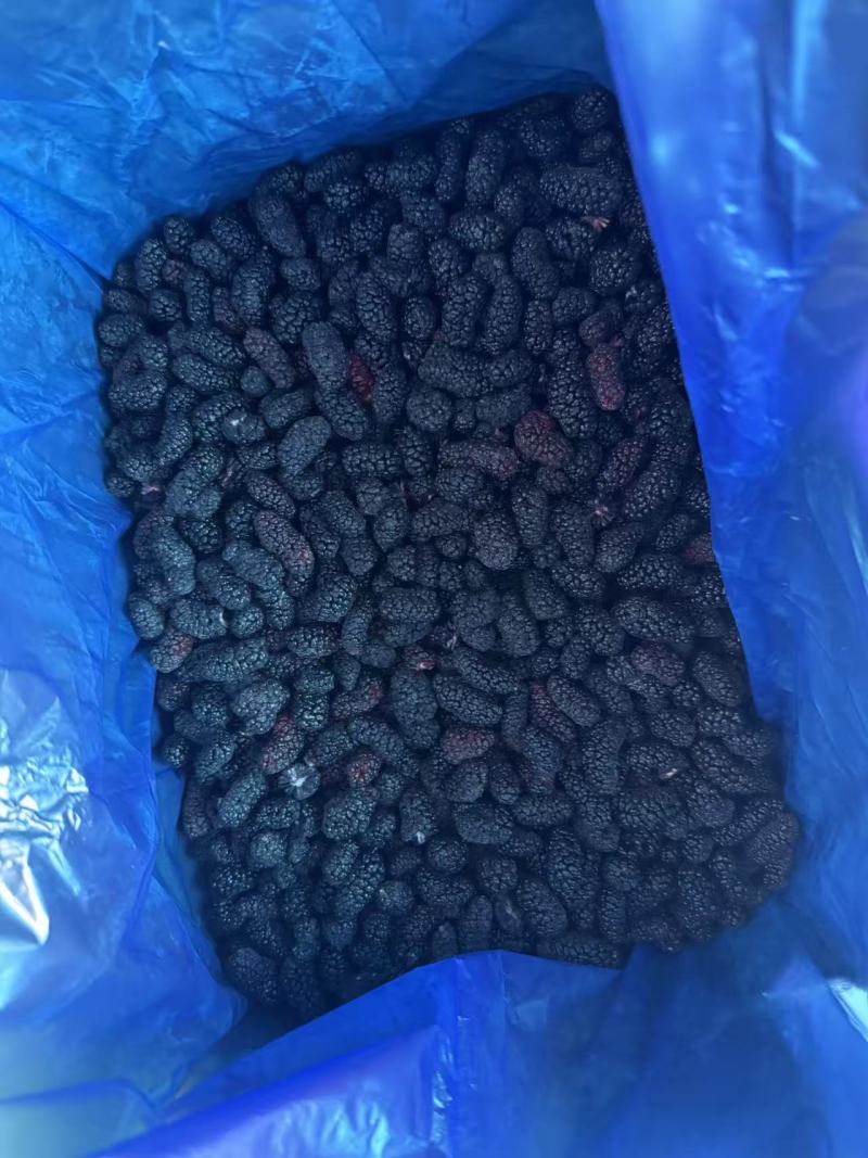 冻桑葚