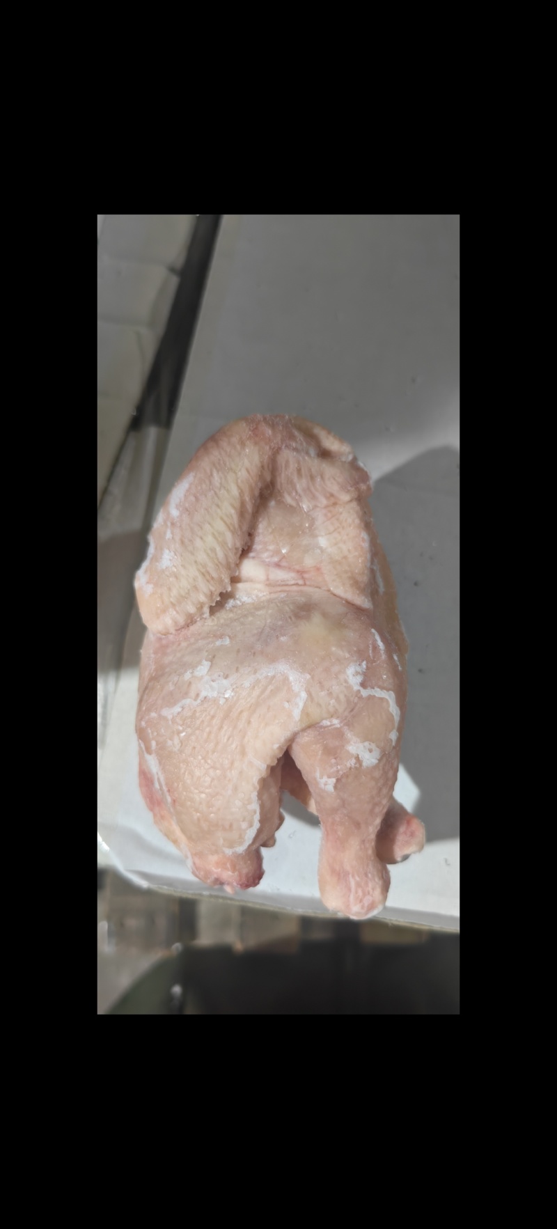 西装鸡