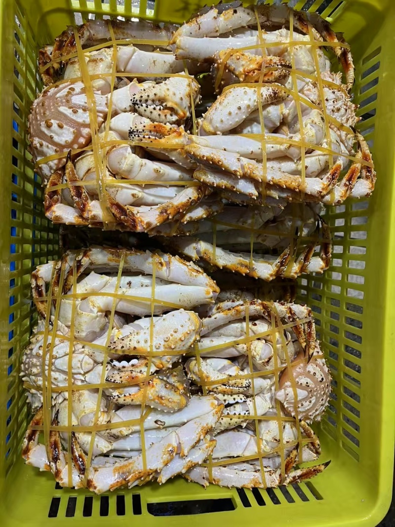 生冻俄罗斯帝王蟹全规格现货A级蓝帝王蟹