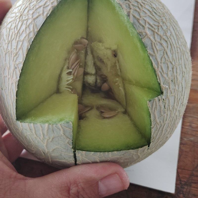 网纹瓜库拉，