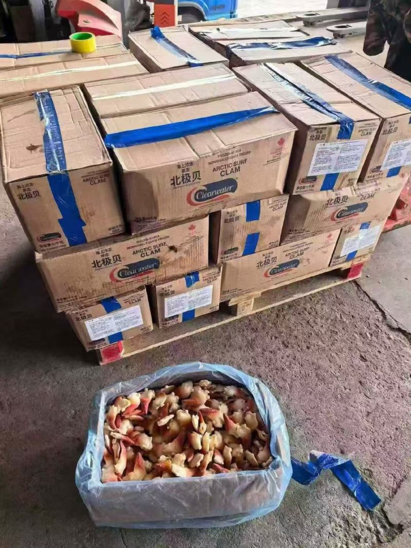 加拿大北极清水北极贝散装全规格现货