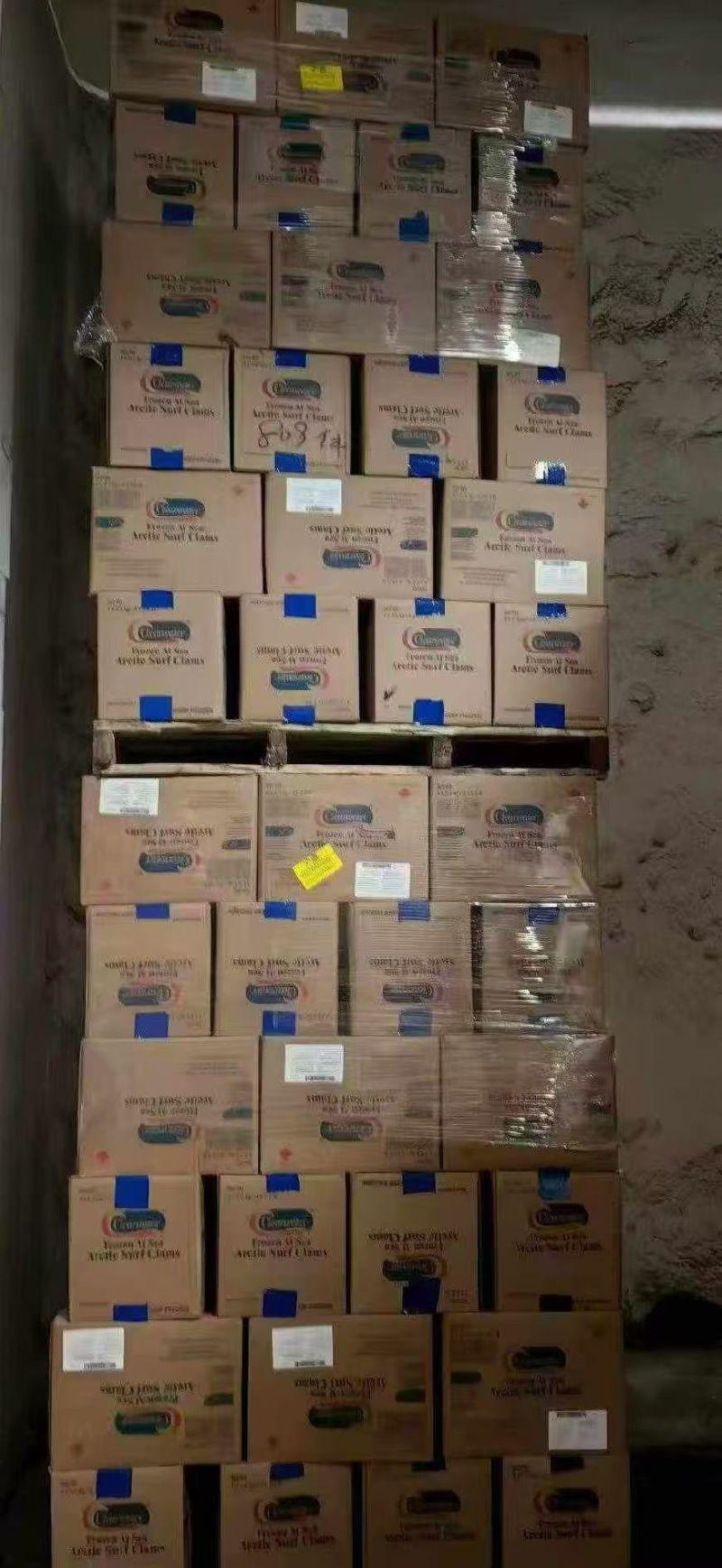 加拿大北极清水北极贝散装全规格现货