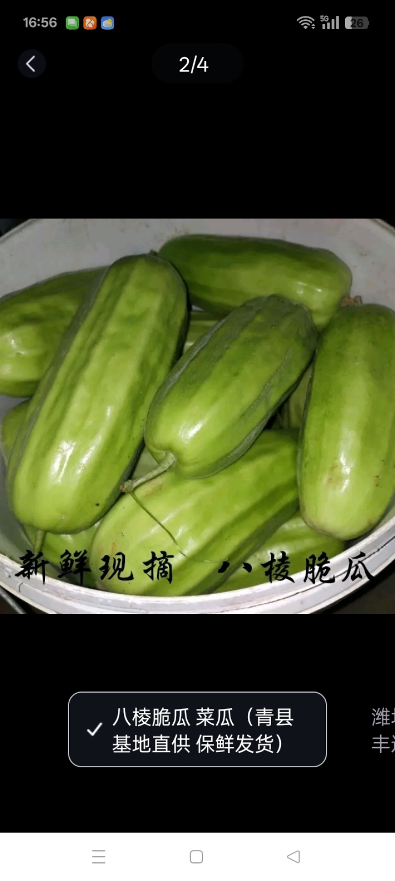 头茬八棱脆瓜