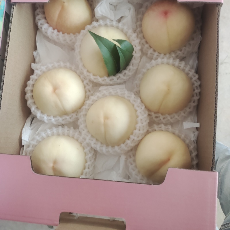 白凤水蜜桃白桃突围水蜜桃桃袋桃红桃