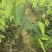 奇楠沉香罗门黑棋广东茂名基地直发欢迎选购量大价格优惠