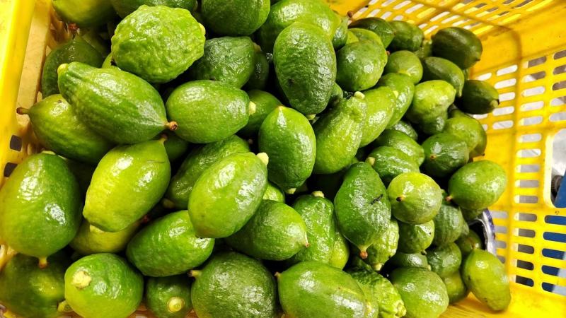 广东香水柠檬鲜果奶茶店专用