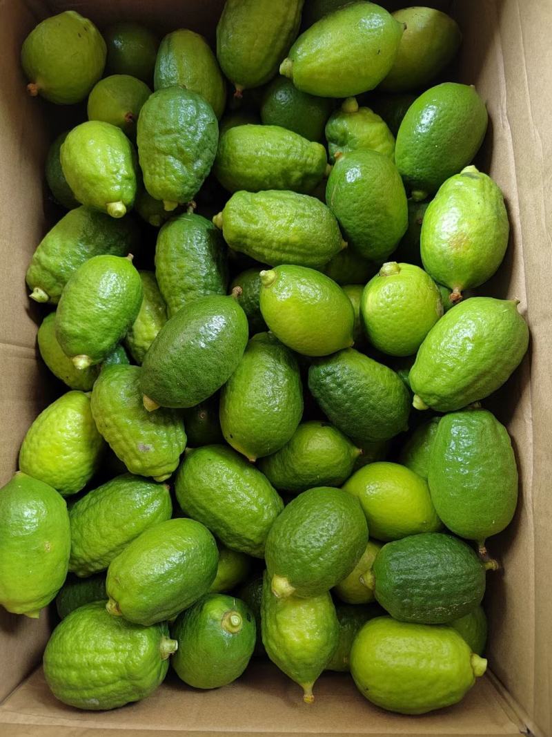 广东香水柠檬鲜果奶茶店专用