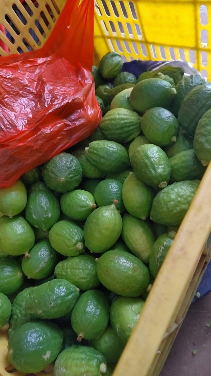 广东香水柠檬鲜果奶茶店专用