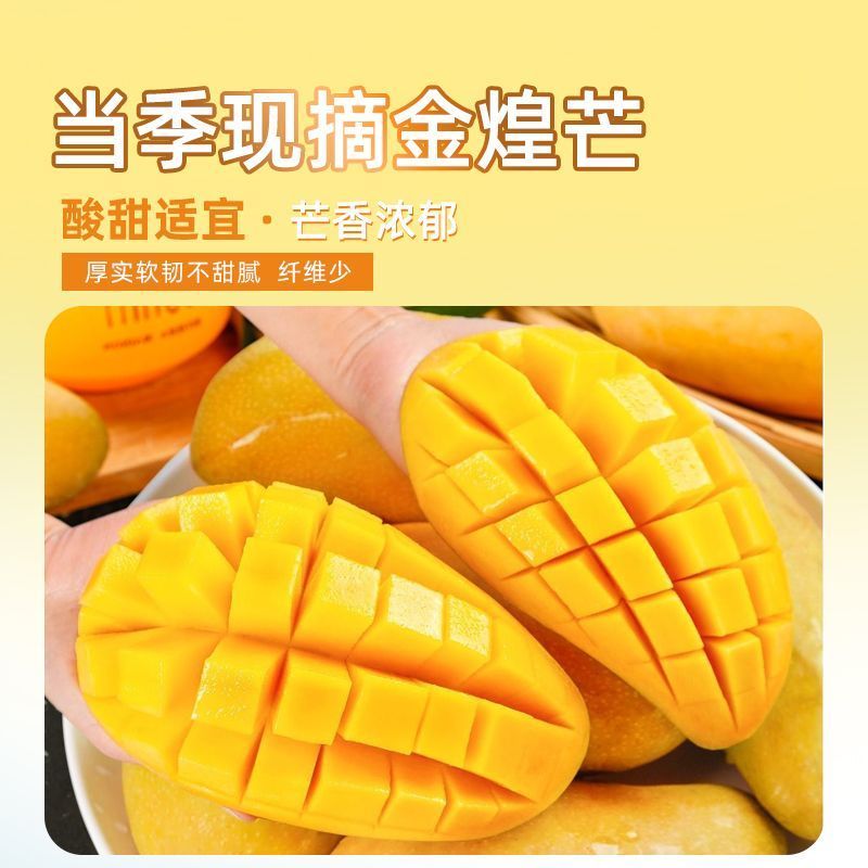 海南金煌芒一件代发包邮代收代办接直播团购