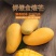 海南金煌芒一件代发包邮代收代办接直播团购