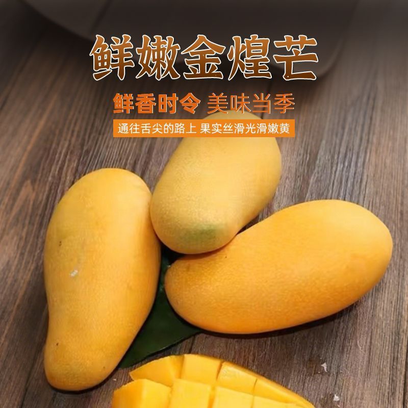 海南金煌芒一件代发包邮代收代办接直播团购