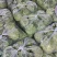 中甘甘蓝山东聊城方亩蔬菜基地甘蓝绿包菜大量上市