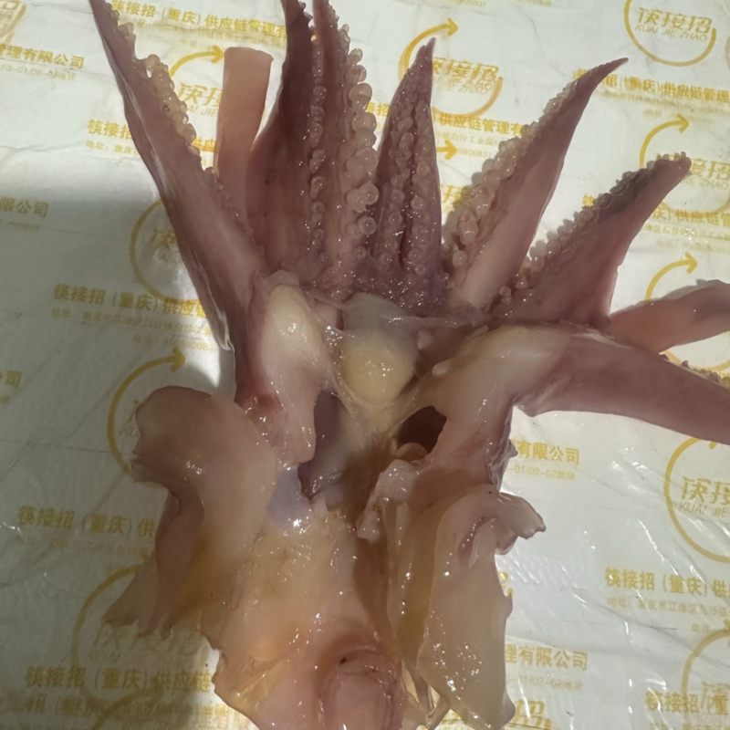 鱿鱼，干货价格很便宜
