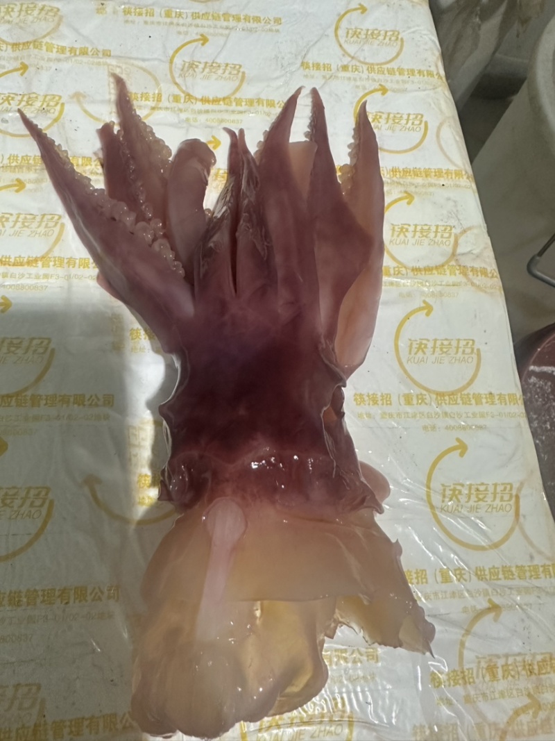 鱿鱼，干货价格很便宜