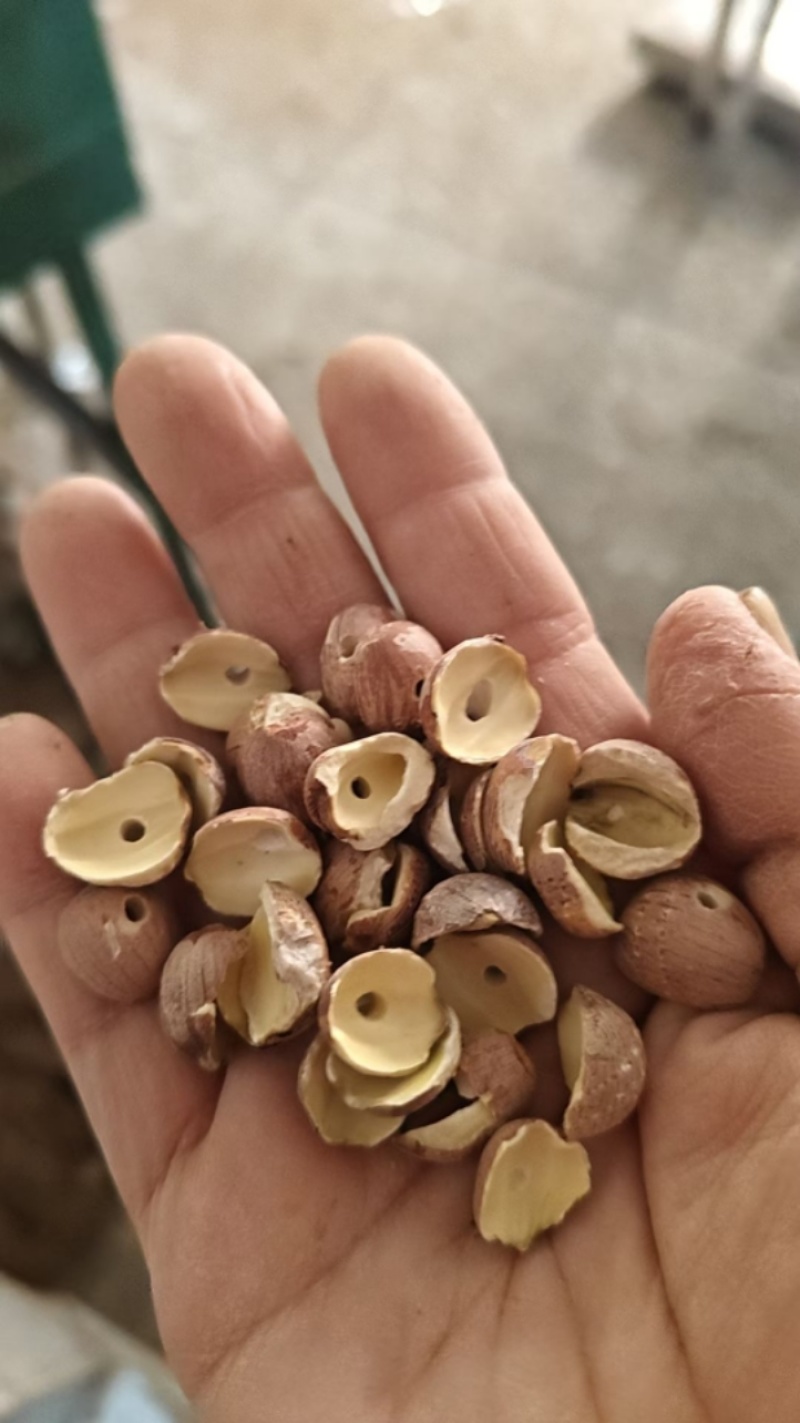湘磨白莲大碎片，农家自产自销，干莲子，保质保量