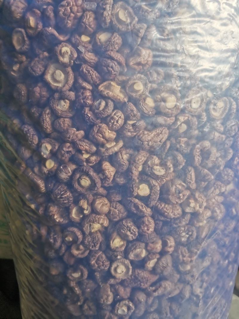 干香菇多少都卖，大客户小客户一样接待，欢迎合作共赢