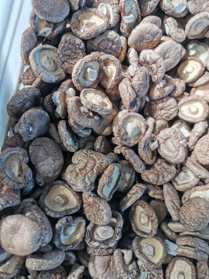 干香菇多少都卖，大客户小客户一样接待，欢迎合作共赢