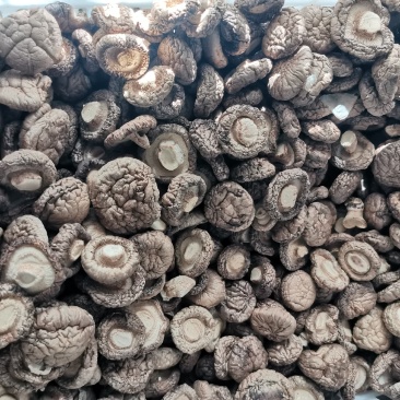干香菇多少都卖，大客户小客户一样接待，欢迎合作共赢