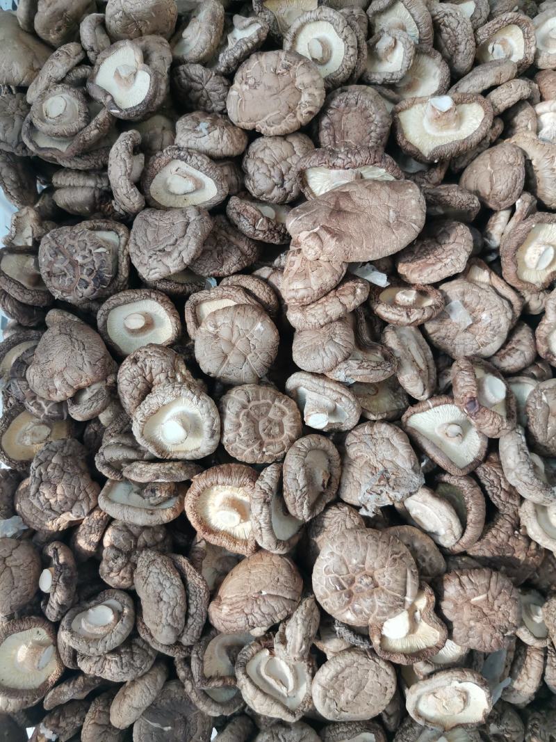干香菇多少都卖，大客户小客户一样接待，欢迎合作共赢