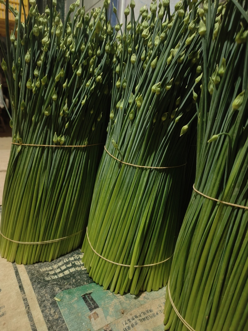 侮辱泥的价格