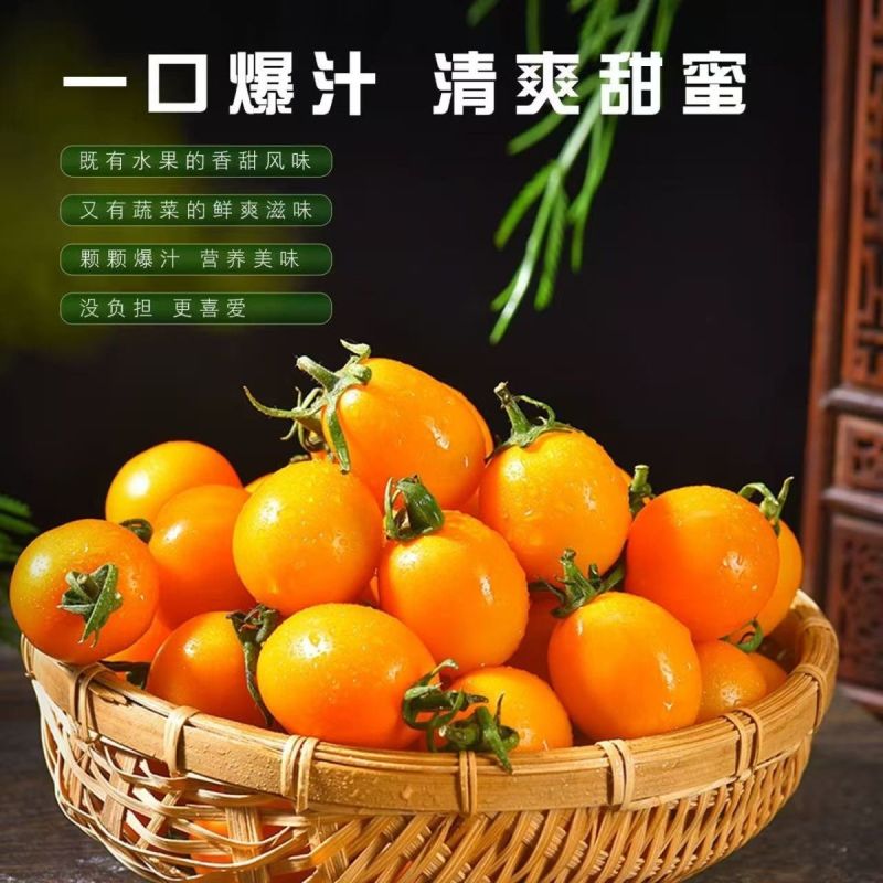【实力】黄金圣女果口感香甜脆爽爽口产地直发一手货