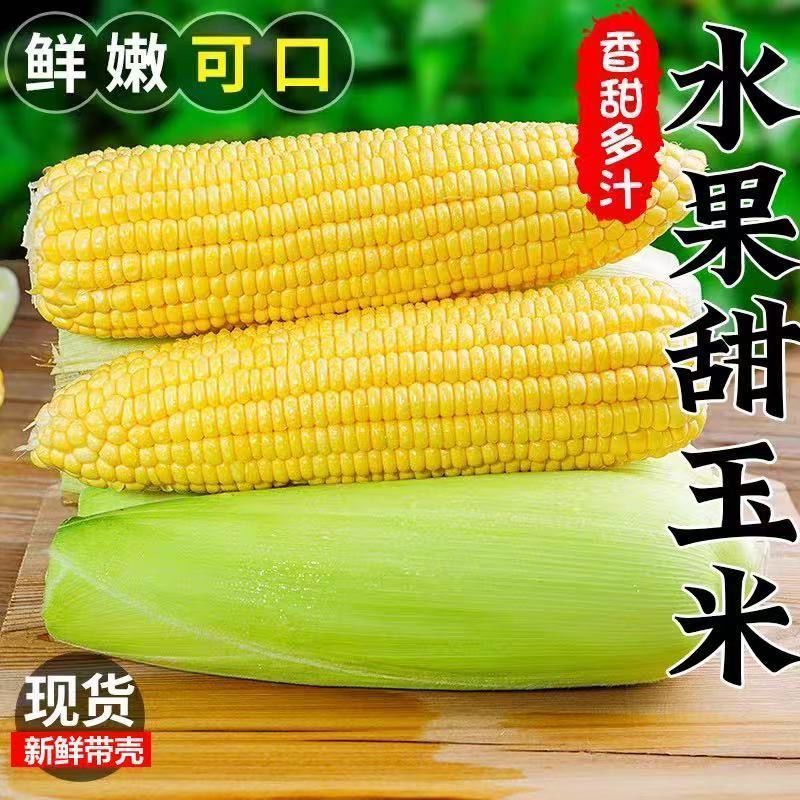 【质优】一手货源产地直销大量供应品质保证价格面议