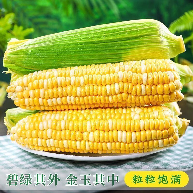 【质优】一手货源产地直销大量供应品质保证价格面议