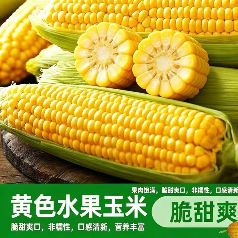 【质优】一手货源产地直销大量供应品质保证价格面议
