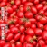 【新鲜采摘】云南精品小番茄现摘现发甜度高水分足量大从