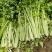 皇后芹菜全棵80公分以上中小棵菜色泽鲜绿无苔子欢迎采购
