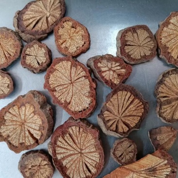 深山老林血塞通