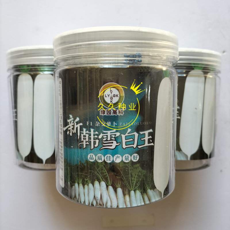 新韩雪白玉萝卜种子早春播地栽白萝卜韩国进口耐抽薹早熟