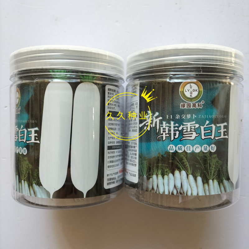 新韩雪白玉萝卜种子早春播地栽白萝卜韩国进口耐抽薹早熟