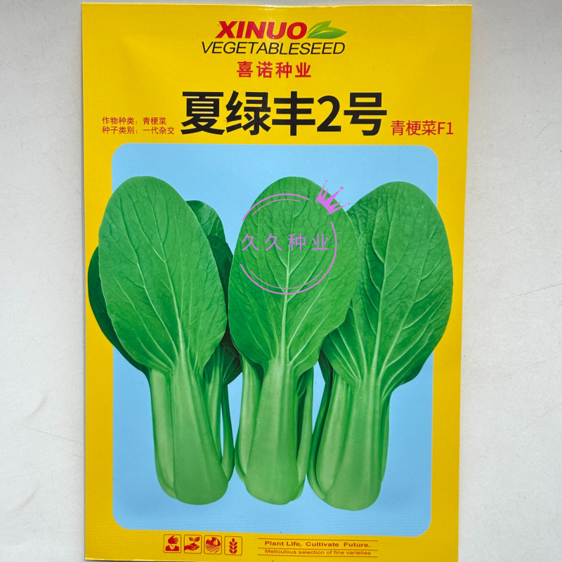 夏绿丰2号青梗菜种子一代杂交耐热耐湿耐寒不拔节半直立叶