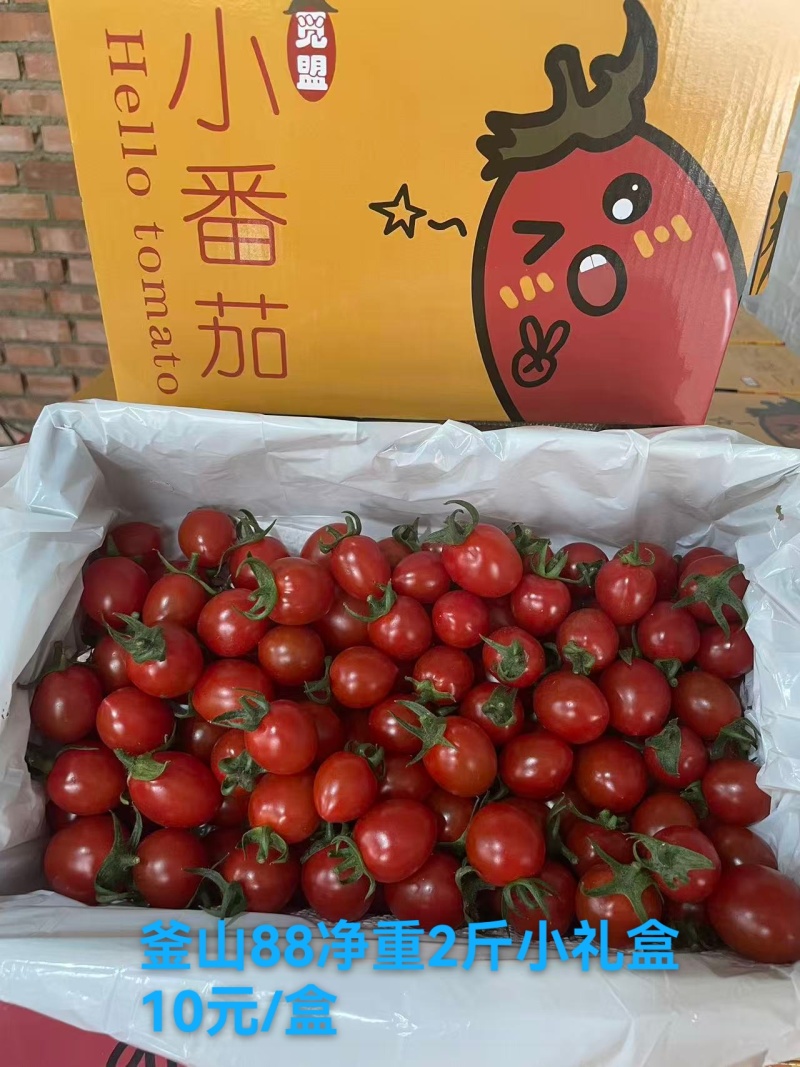 玲珑小番茄，清甜，贝贝，糖伯都有货，多年供应，包装齐全，