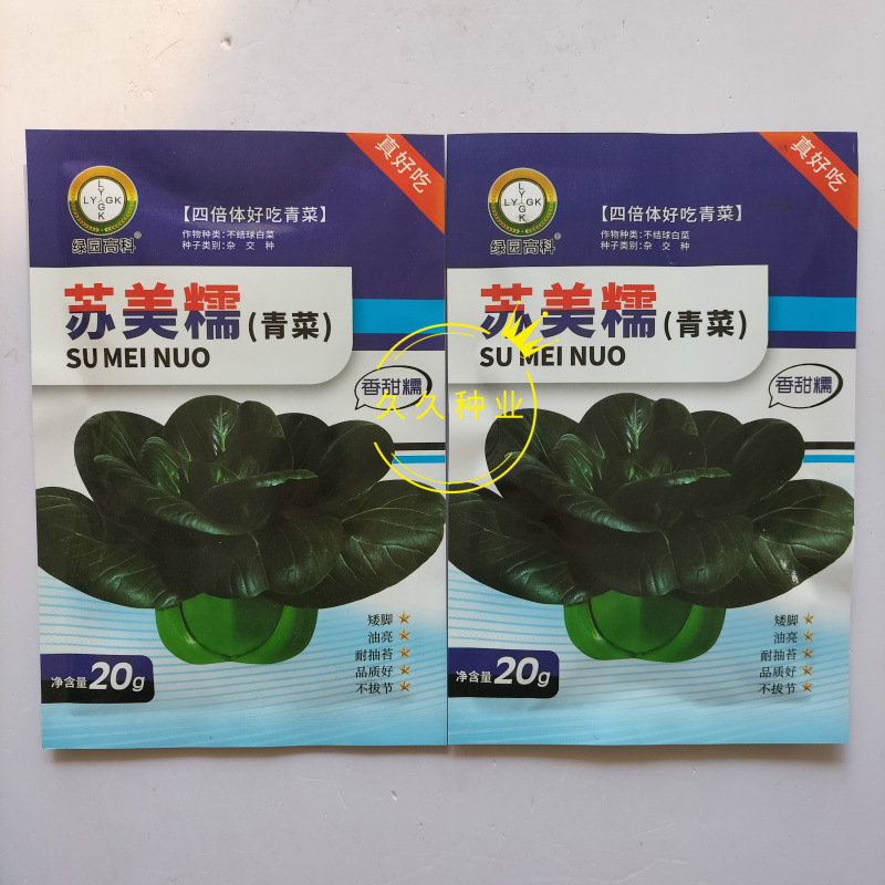 苏美糯青菜种子苏州青黑油绿叶矮脚甜糯耐寒秋季播青梗菜蔬菜