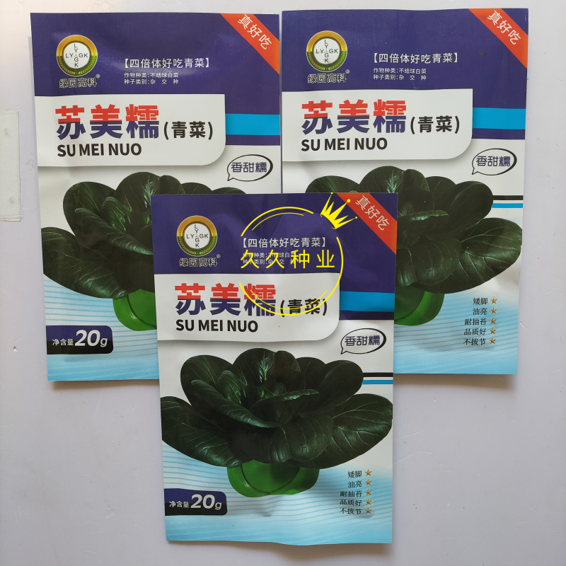 苏美糯青菜种子苏州青黑油绿叶矮脚甜糯耐寒秋季播青梗菜蔬菜