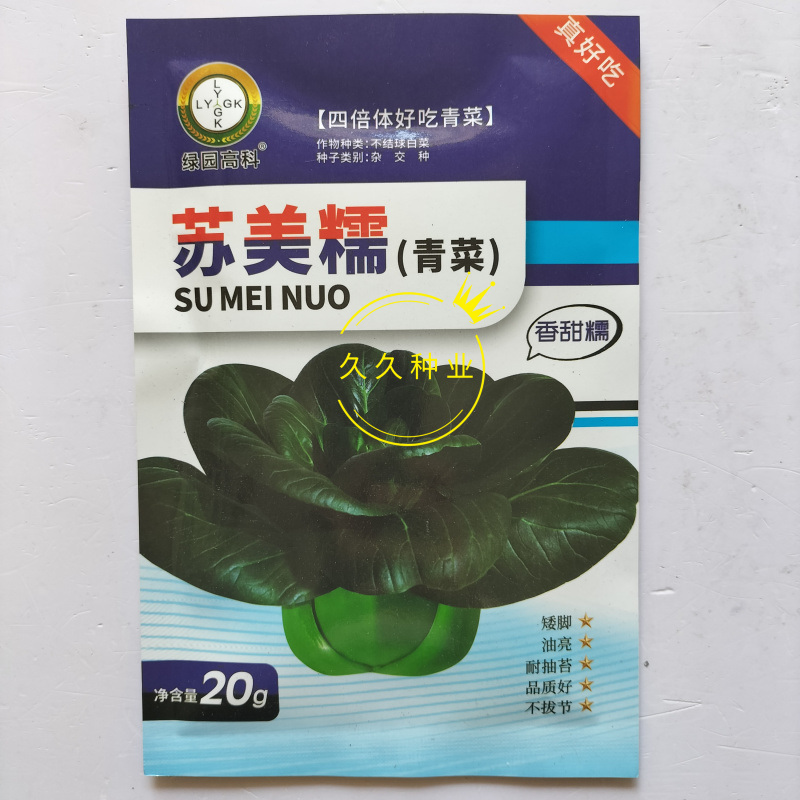 苏美糯青菜种子苏州青黑油绿叶矮脚甜糯耐寒秋季播青梗菜蔬菜