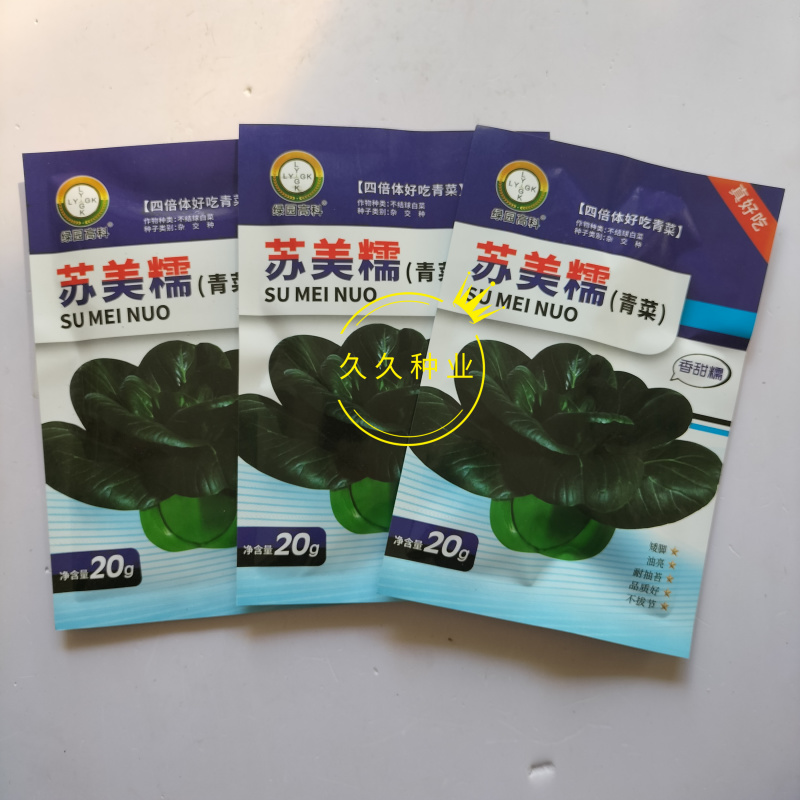 苏美糯青菜种子苏州青黑油绿叶矮脚甜糯耐寒秋季播青梗菜蔬菜