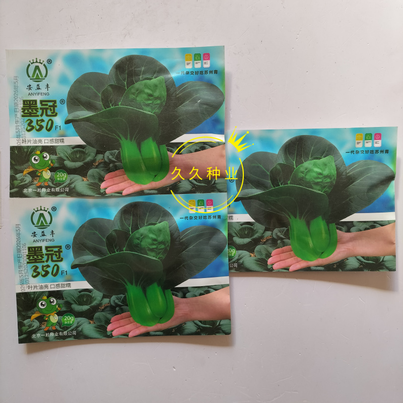 墨冠350耐热杂交苏州青种子味甜好吃高温不拔节抗病高产
