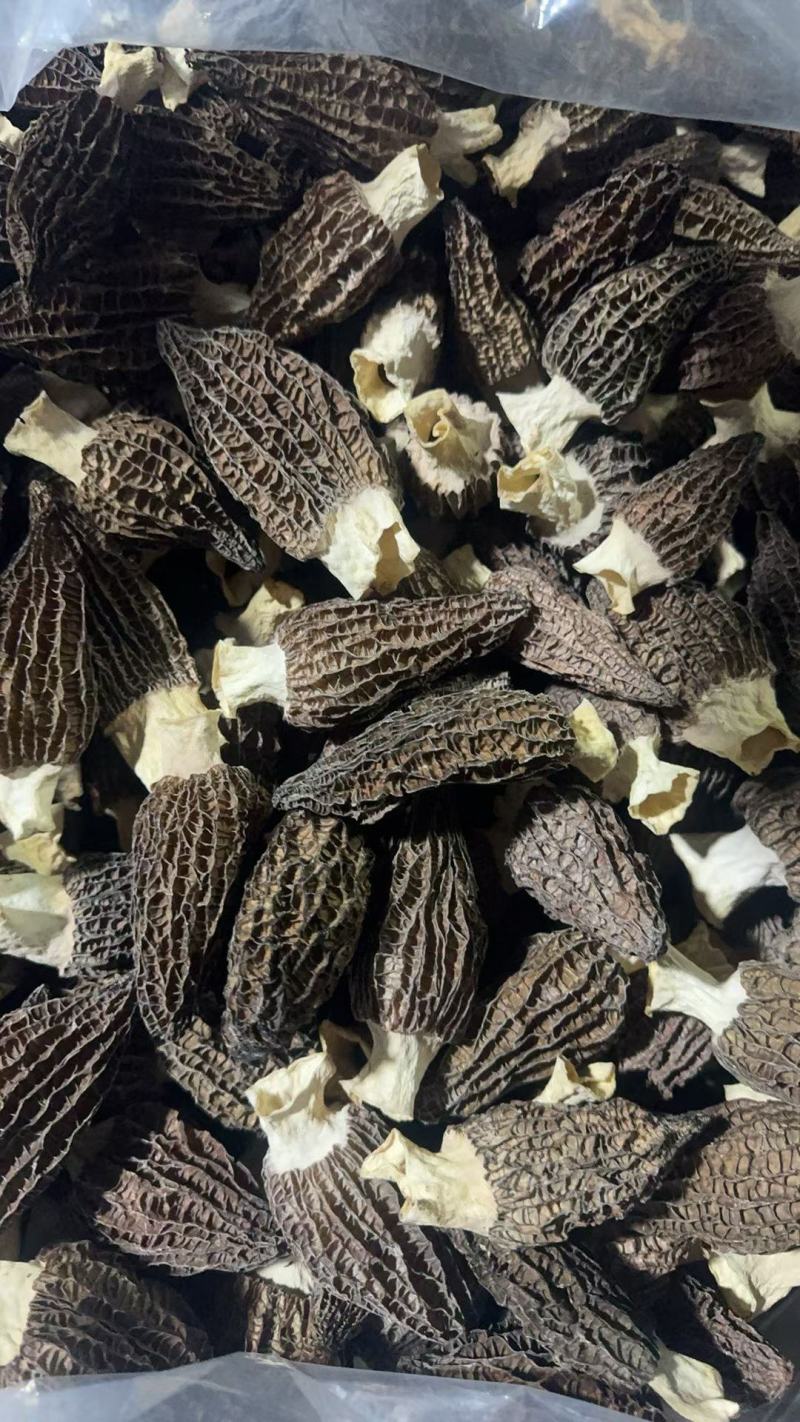 精品羊肚菌干品5-7
